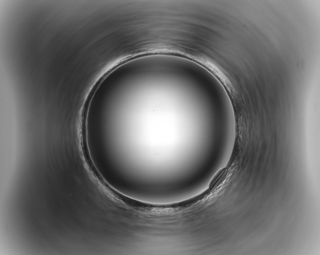 X0000096711142200802051415