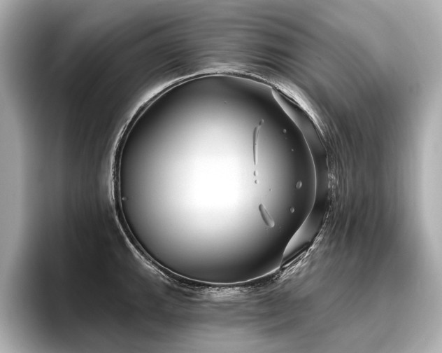 X0000096711143200802051415