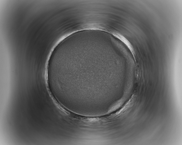 X0000096711144200802051415