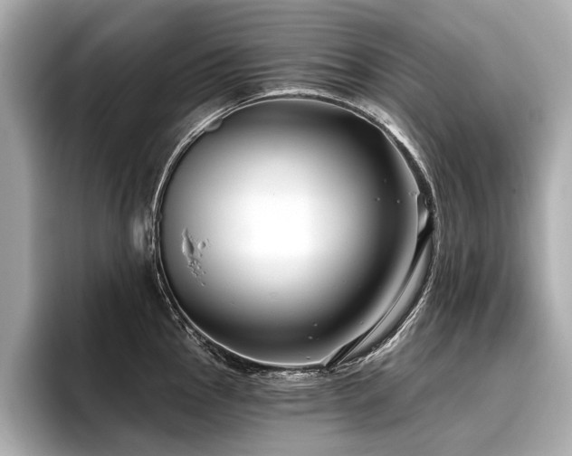 X0000096711145200802051415