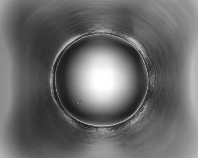 X0000096711149200802051415