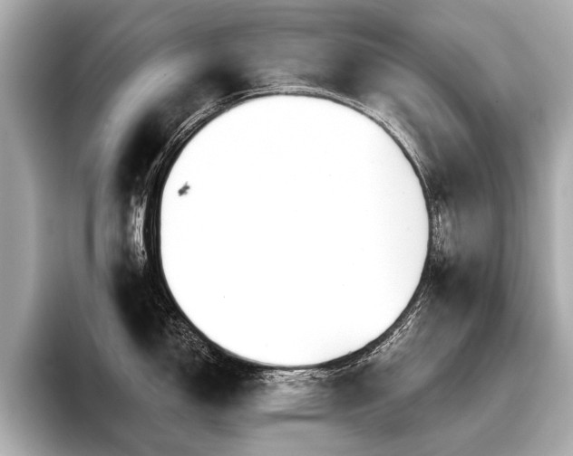 X0000096711150200802051415