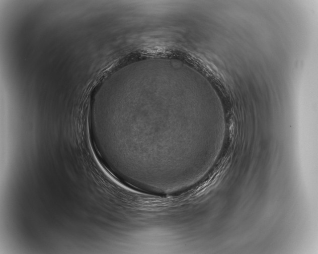 X0000096711156200802051415