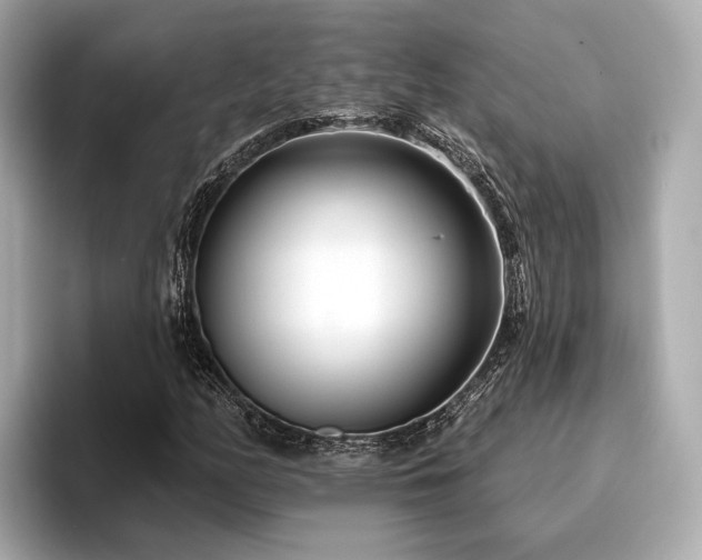 X0000096711158200802051415