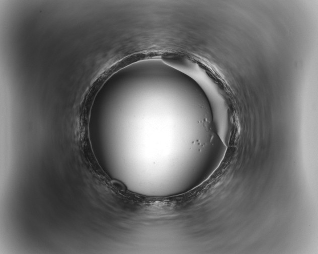 X0000096711160200802051415