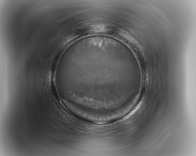 X0000096711161200802051415