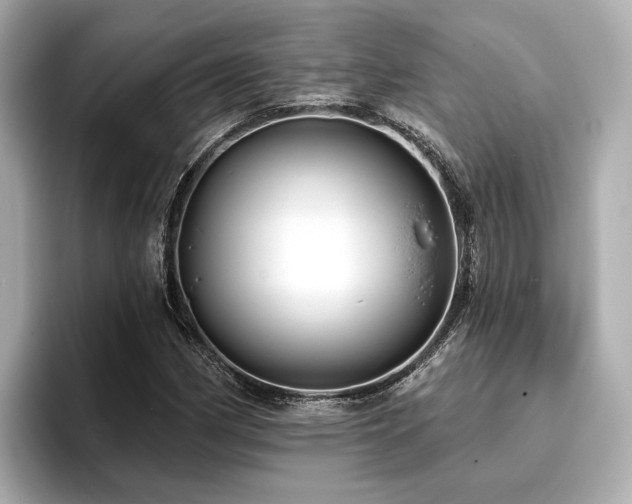 X0000096711162200802051415