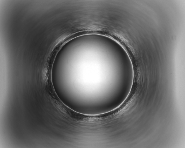 X0000096711163200802051415