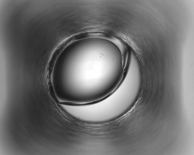 X0000096711164200802051415