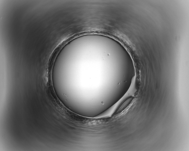 X0000096711165200802051415