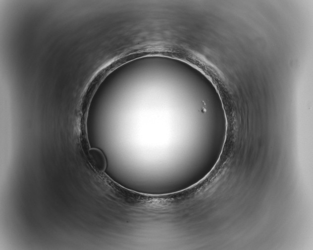 X0000096711166200802051415