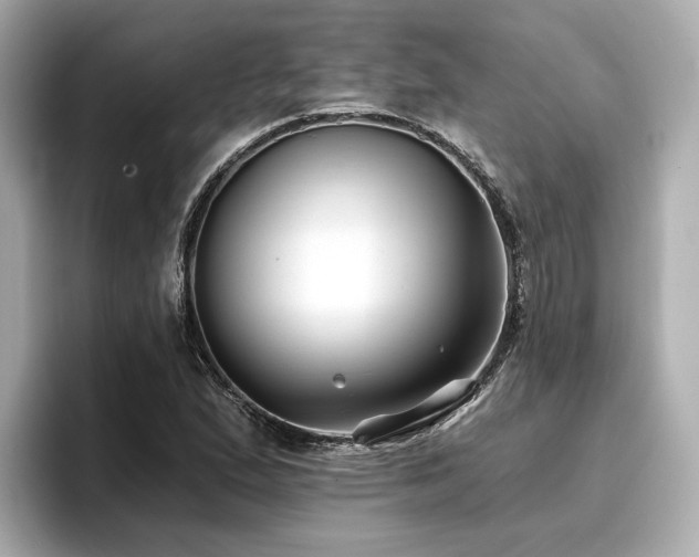 X0000096711167200802051415