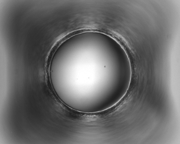 X0000096711168200802051415