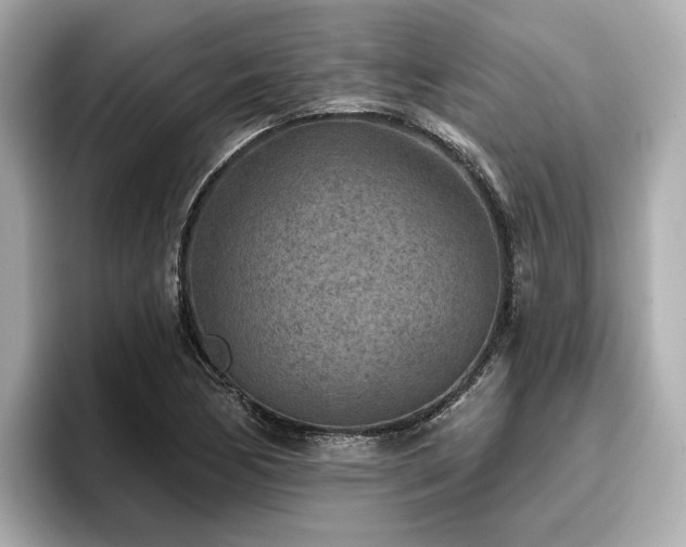 X0000096711170200802051415