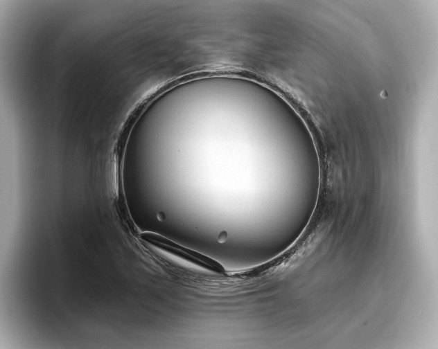 X0000096711171200802051415