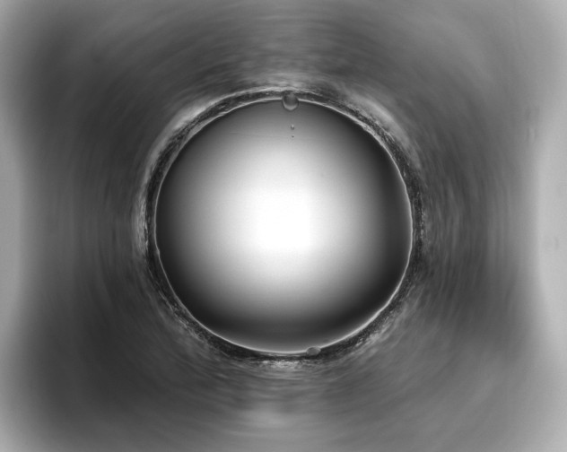 X0000096711172200802051415