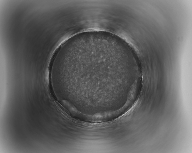 X0000096711173200802051415