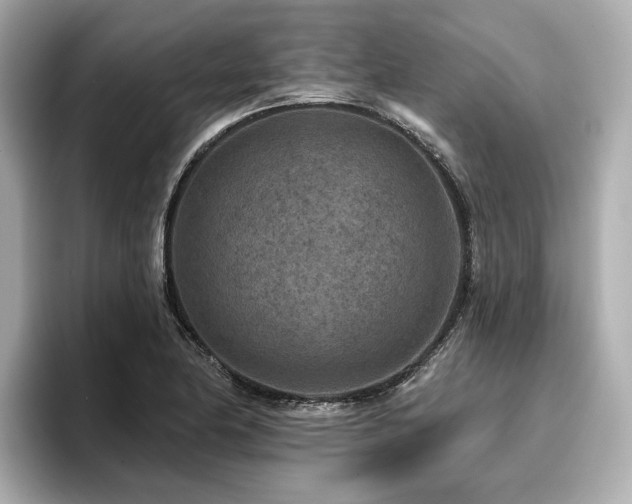 X0000096711174200802051415