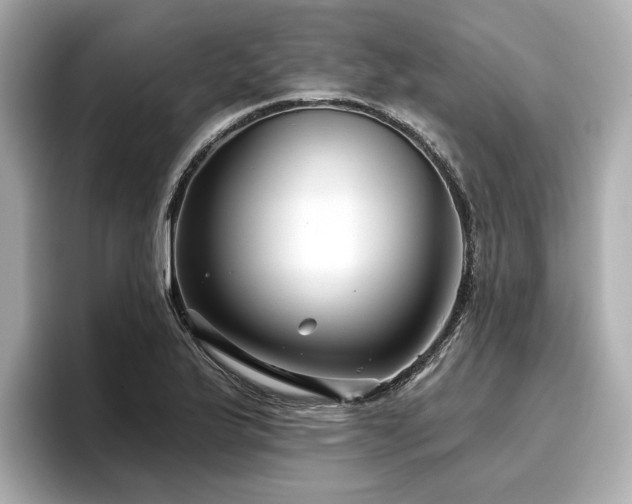 X0000096711175200802051415