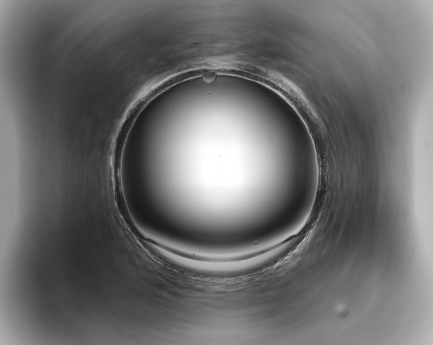 X0000096711176200802051415