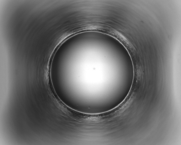 X0000096711178200802051415