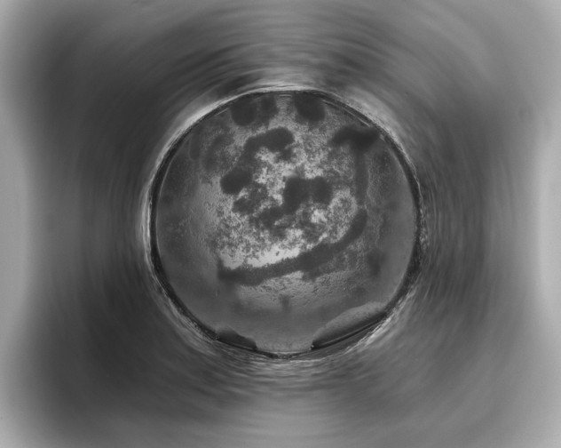 X0000096711179200802051415