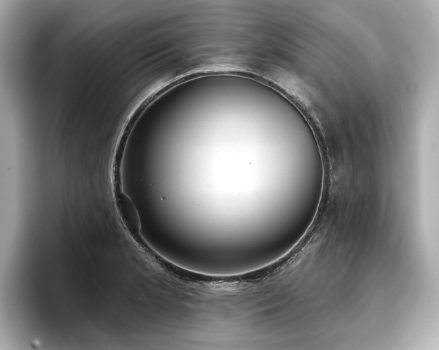 X0000096711181200802051415