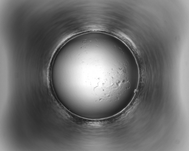 X0000096711182200802051415