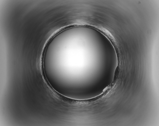 X0000096711183200802051414