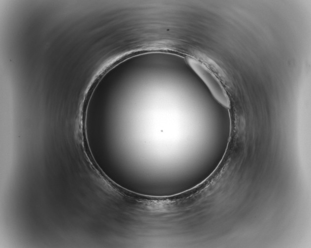 X0000096711184200802051414