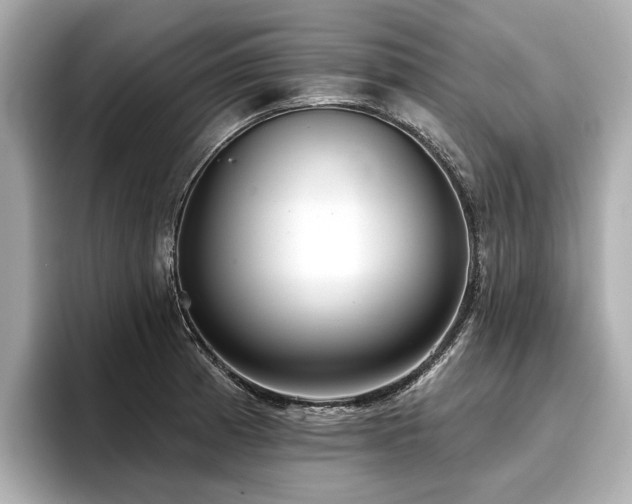 X0000096711185200802051414