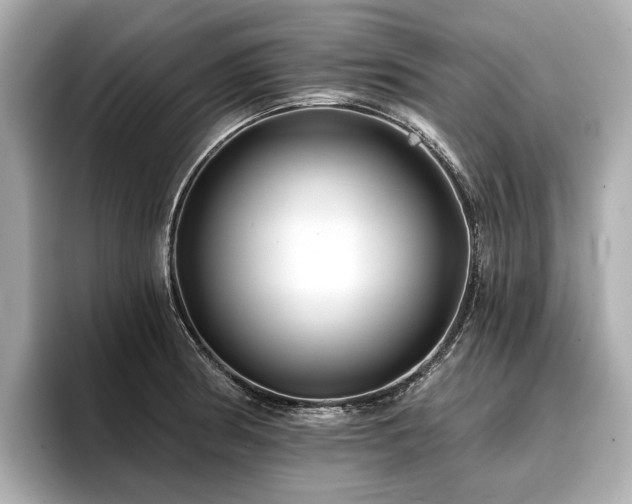 X0000096711186200802051414