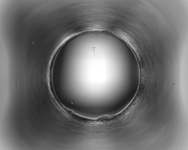 X0000096711187200802051414