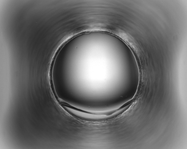 X0000096711189200802051414