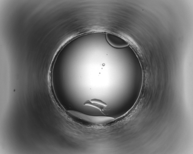 X0000096711190200802051414