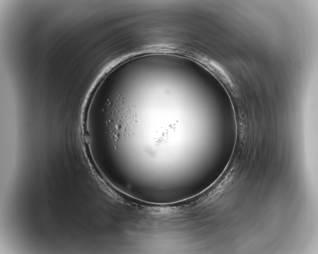 X0000096711192200802051414