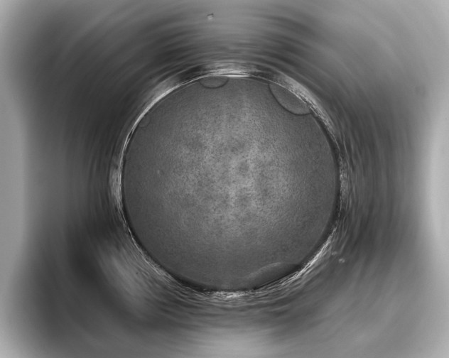 X0000096711194200802051414