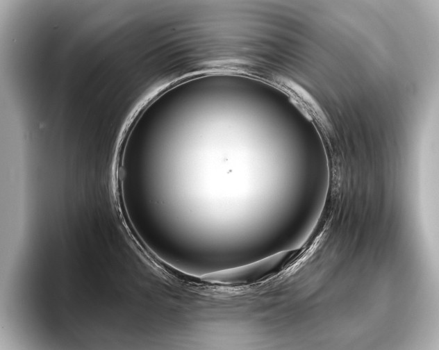 X0000096711196200802051414