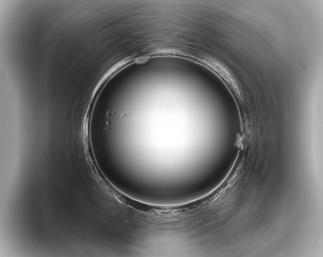 X0000096711198200802051414