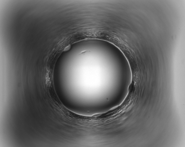 X0000096711202200802051414