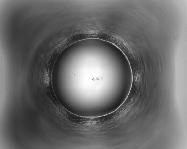 X0000096711204200802051414