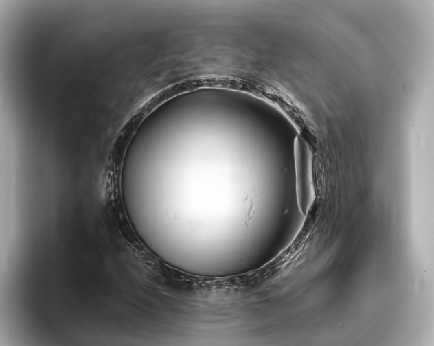 X0000096711208200802051414