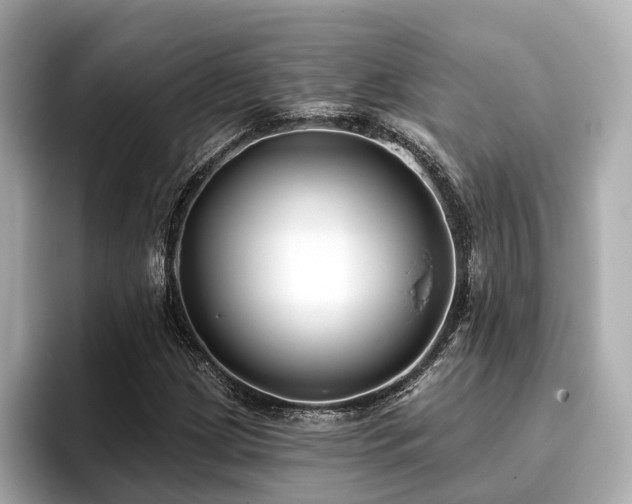 X0000096711209200802051414