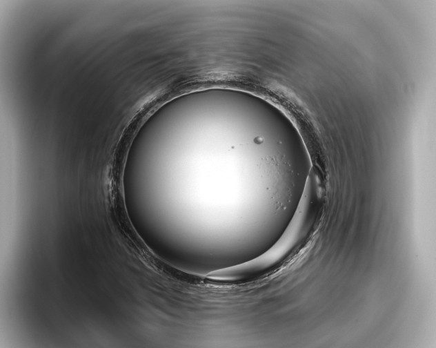 X0000096711210200802051414