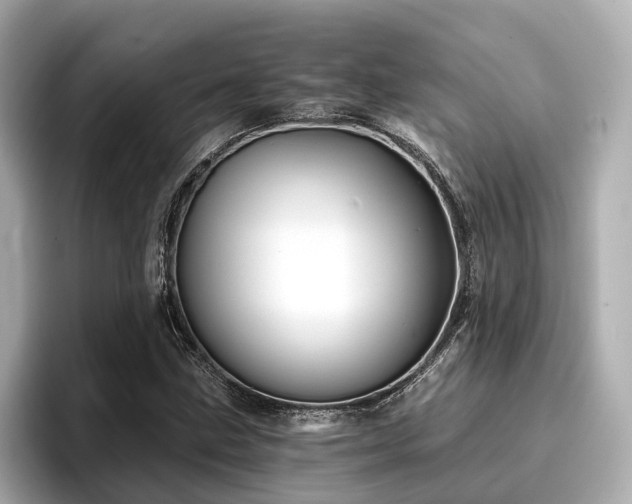 X0000096711211200802051414