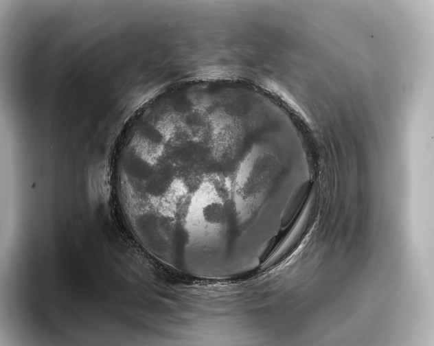 X0000096711213200802051414