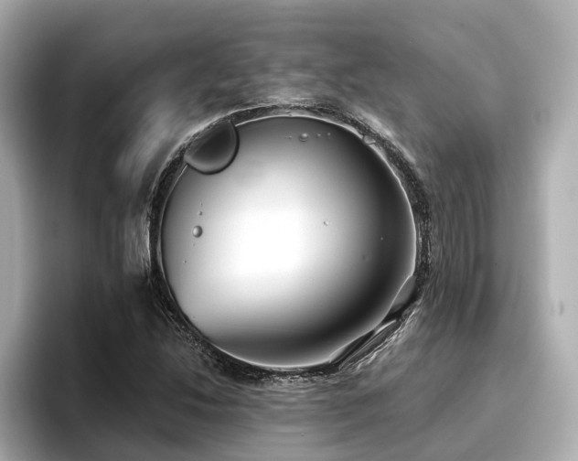 X0000096711214200802051414