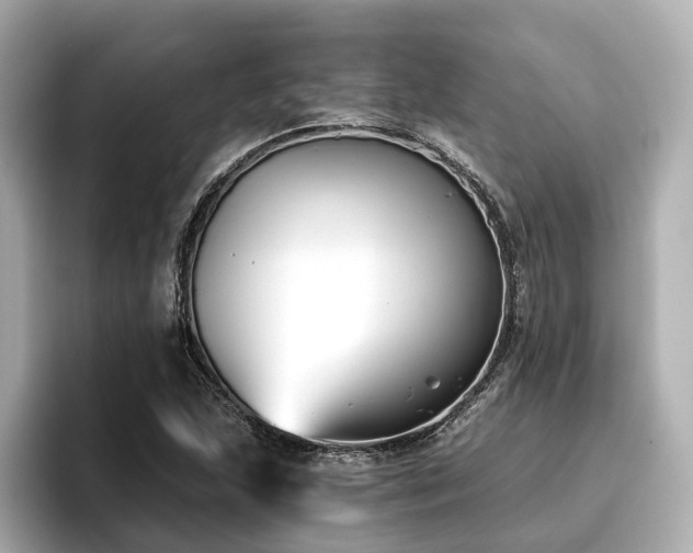 X0000096711215200802051414