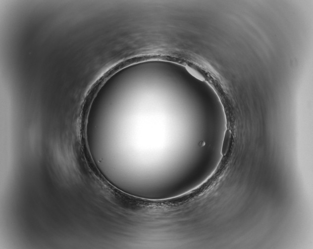 X0000096711216200802051414