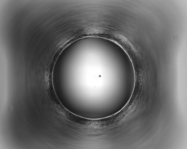 X0000096711217200802051414